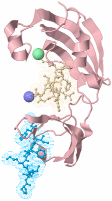 Image Biological Unit 3