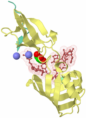 Image Biological Unit 4