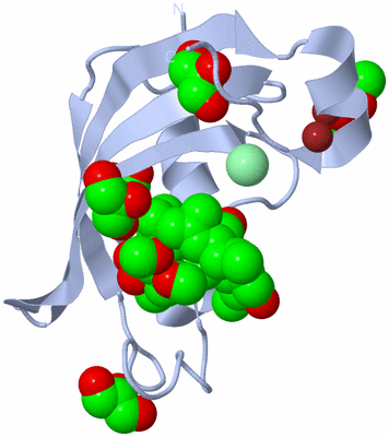 Image Biological Unit 1