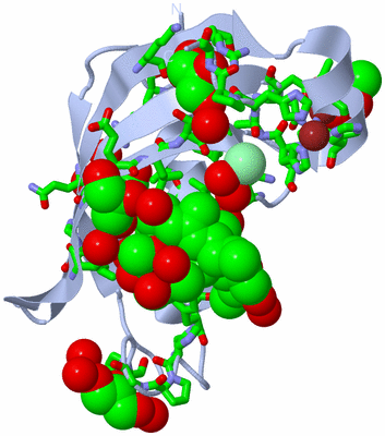 Image Biol. Unit 1 - sites