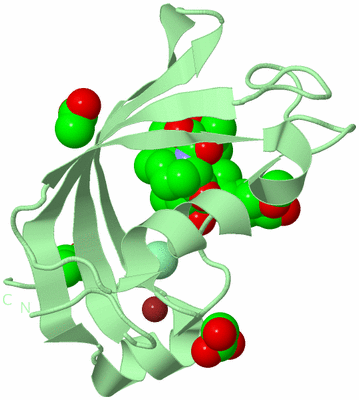 Image Biological Unit 2