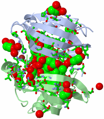 Image Asym. Unit - sites