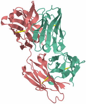 Image Biological Unit 1