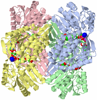 Image Asym./Biol. Unit