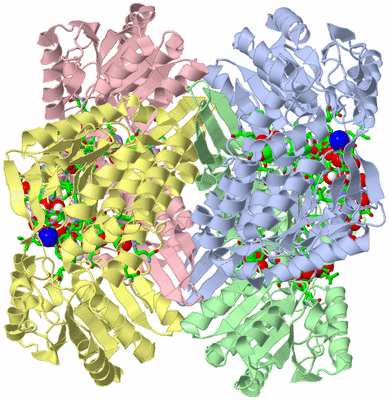 Image Asym./Biol. Unit - sites