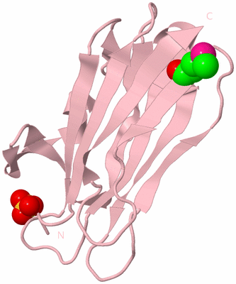 Image Biological Unit 3