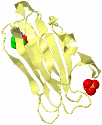 Image Biological Unit 4