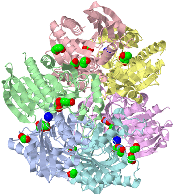 Image Asym./Biol. Unit