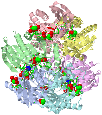 Image Asym./Biol. Unit - sites