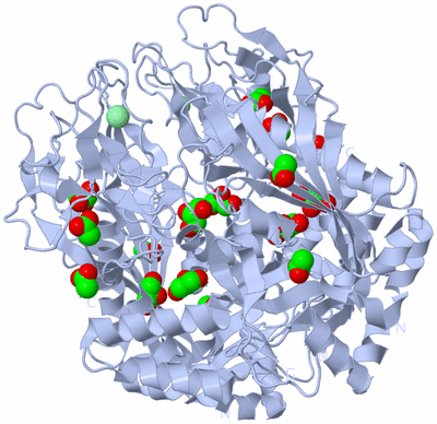 Image Biological Unit 1