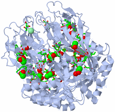 Image Biol. Unit 1 - sites