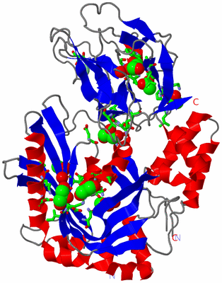 Image Asym. Unit - sites