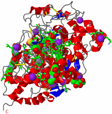 Image Asym./Biol. Unit - sites