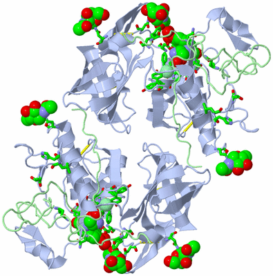 Image Biol. Unit 1 - sites