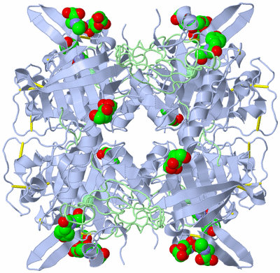 Image Biological Unit 2