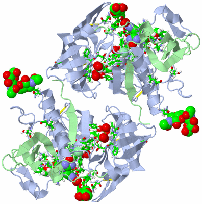 Image Biol. Unit 1 - sites