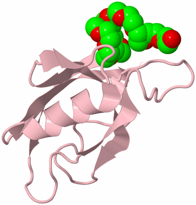 Image Biological Unit 3