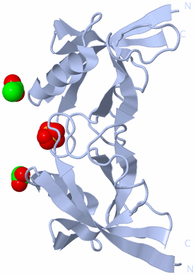 Image Biological Unit 4