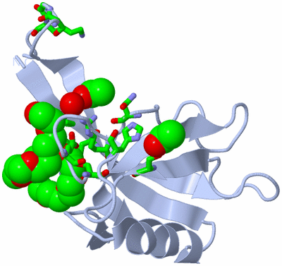 Image Biol. Unit 1 - sites