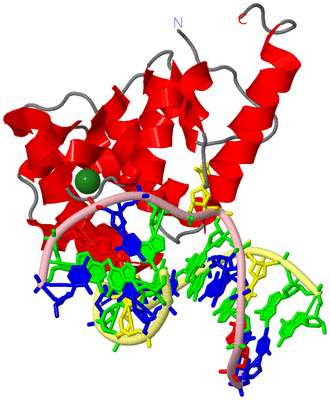 Image Asym./Biol. Unit