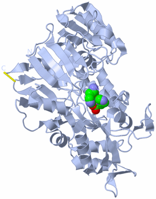 Image Biological Unit 1