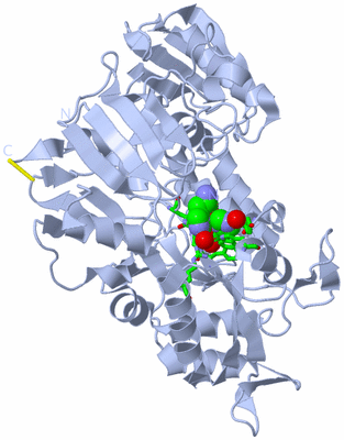 Image Biol. Unit 1 - sites