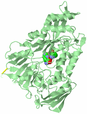 Image Biological Unit 2