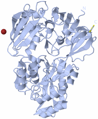 Image Biological Unit 1