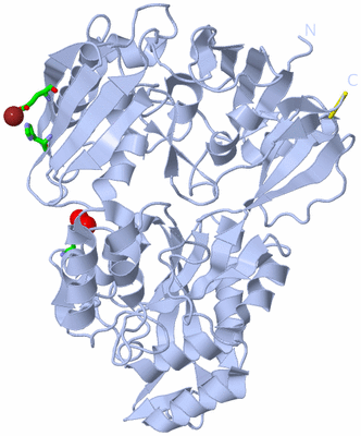 Image Biol. Unit 1 - sites