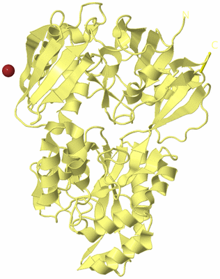 Image Biological Unit 4