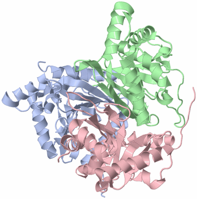 Image Biological Unit 1