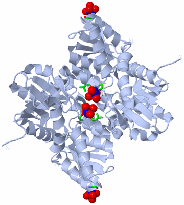 Image Biol. Unit 1 - sites