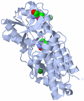 Image Biological Unit 1