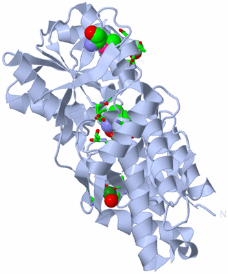 Image Biol. Unit 1 - sites