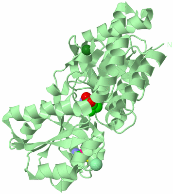 Image Biological Unit 2