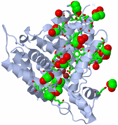 Image Biol. Unit 1 - sites