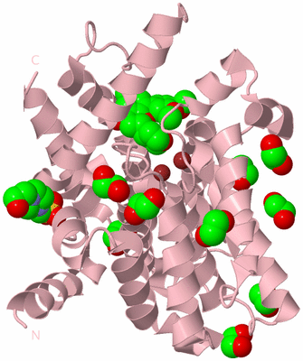 Image Biological Unit 3