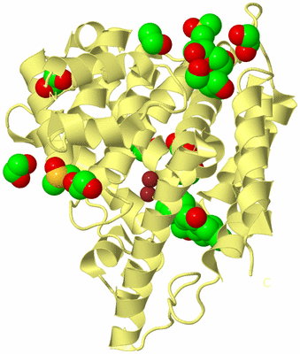 Image Biological Unit 4