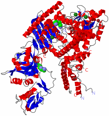 Image Asym./Biol. Unit