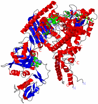 Image Asym./Biol. Unit - sites