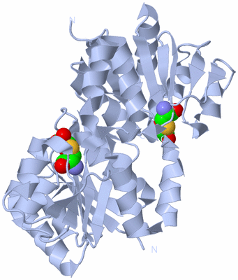 Image Biological Unit 1