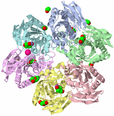 Image Asym./Biol. Unit