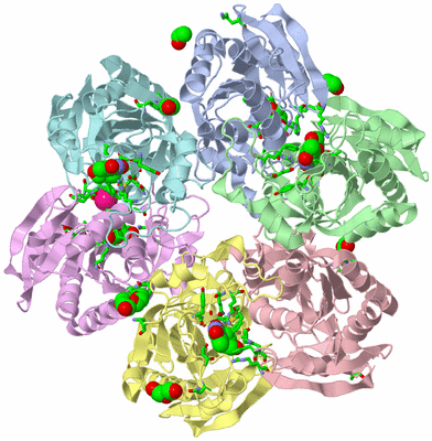 Image Asym./Biol. Unit - sites