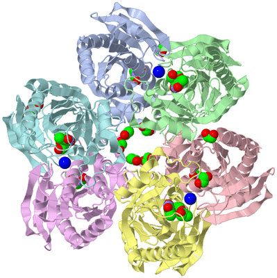 Image Asym./Biol. Unit