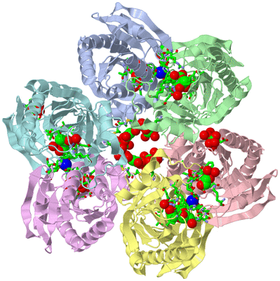 Image Asym./Biol. Unit - sites