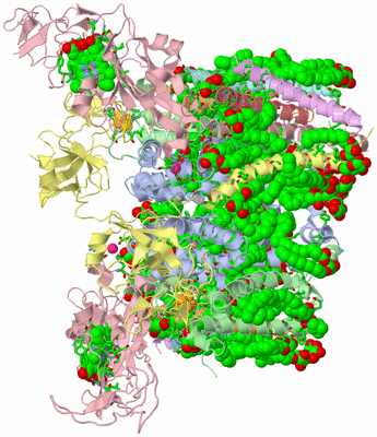 Image Biol. Unit 1 - sites