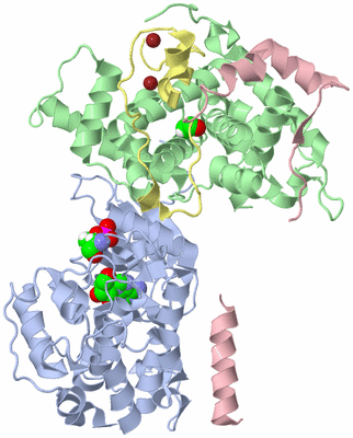 Image Biological Unit 1