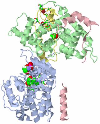 Image Biol. Unit 1 - sites