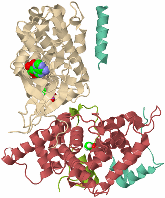 Image Biological Unit 3