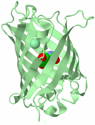 Image Biological Unit 2